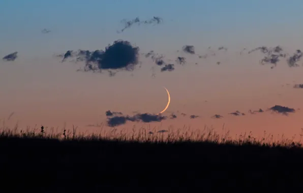 Field, clouds, the moon, twilight