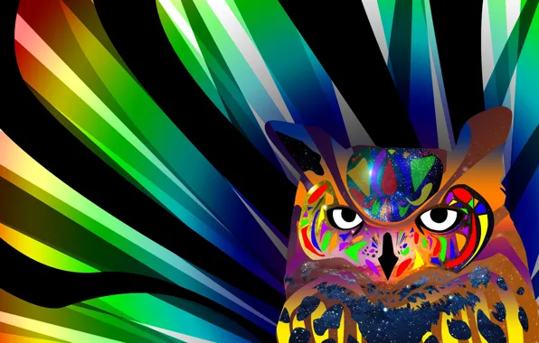 Picture eyes, line, owl, bird, paint, color