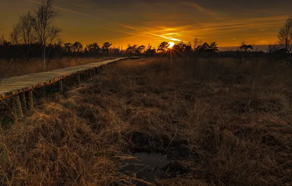 Field, sunset, bridge, nature