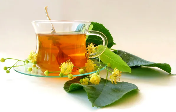 Picture leaves, flowers, tea, Cup, Linden