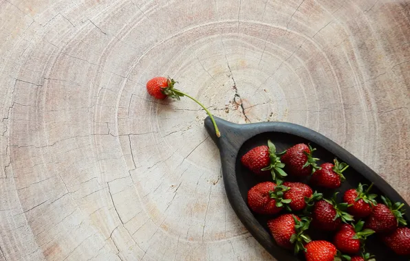 Berry, strawberry, berry, widescreen, beautiful, background, фон background, the Wallpapers