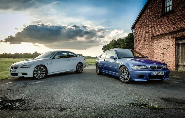 White, the sky, grass, asphalt, trees, blue, bmw, BMW