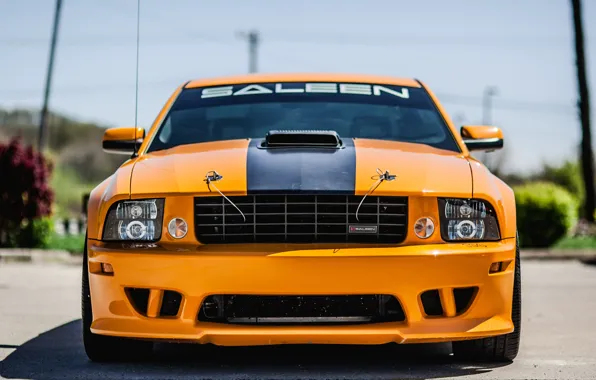 Picture front view, 2008, Saleen, S302, Mustang, Ford, extreme