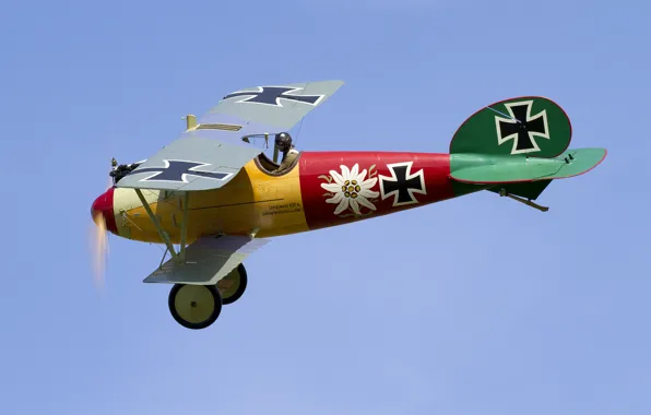 Picture the sky, flight, the plane, biplane