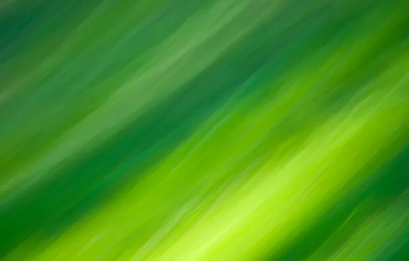 Color, line, Green