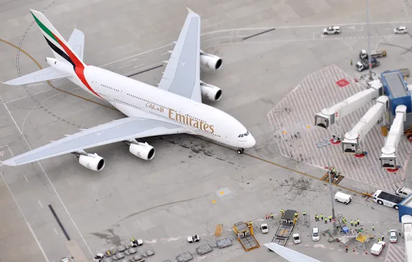 Picture The plane, People, Airport, The view from the top, A380, Passenger, Airbus, Airliner