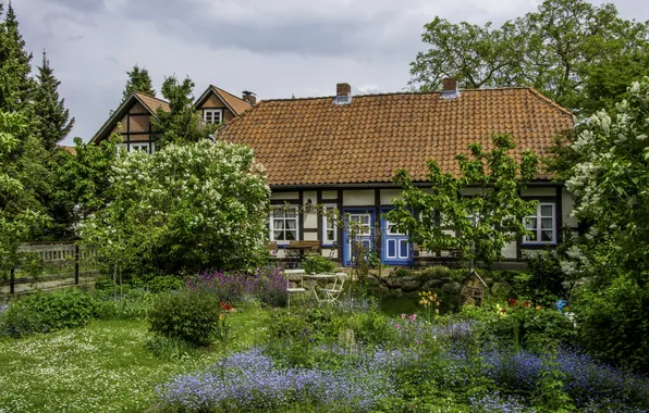 Picture grass, trees, flowers, house, Germany, garden, the bushes, Hitzacker