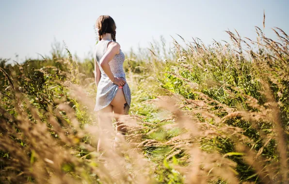 Field, summer, girl, model, dress, meadow, girl, model