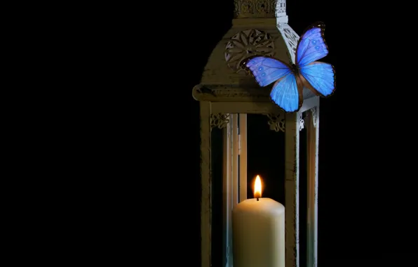 Light, candle, shadow and light, lamptern