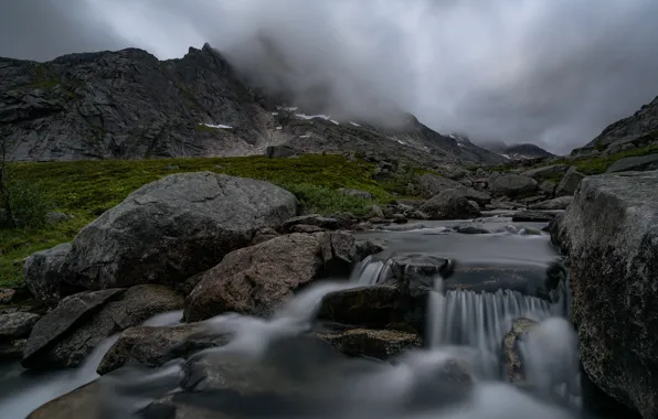 Nature, Stream, Fog, River