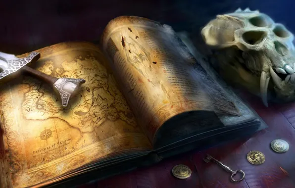 Skull, map, money, sword, key, fangs, book, coins