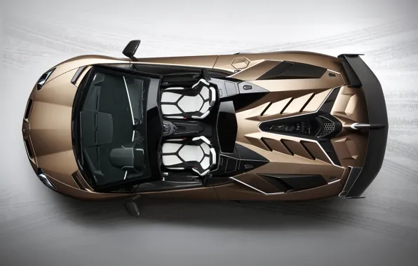 Supercar, Italian, 2019, Lamborghini Aventador S Roadster