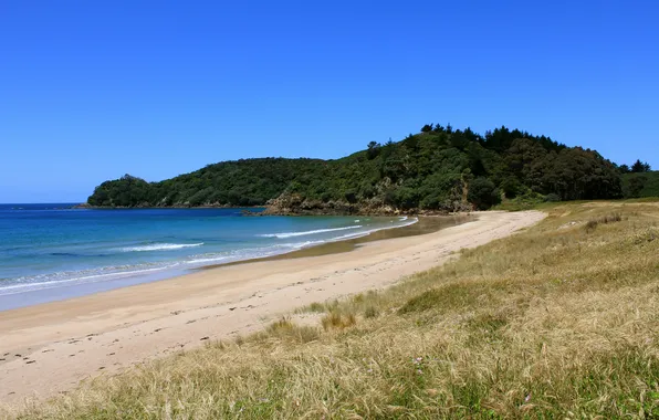 Wave, greens, grass, water, lake, hills, shore