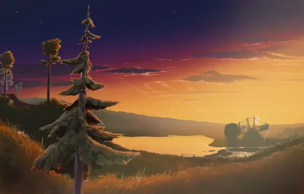 Forest, trees, sunset, the evening, art, pustosh