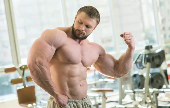 Pose, beard, muscle, muscle, press, simulators, biceps, gym