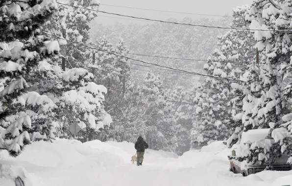 Nature, Winter, Snow, Colorado, Nature, Winter, Snow, Colorado