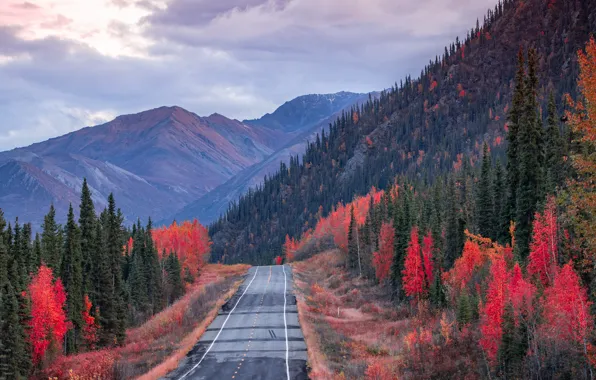 Road, autumn, forest, the sky, clouds, mountains, the slopes, tops