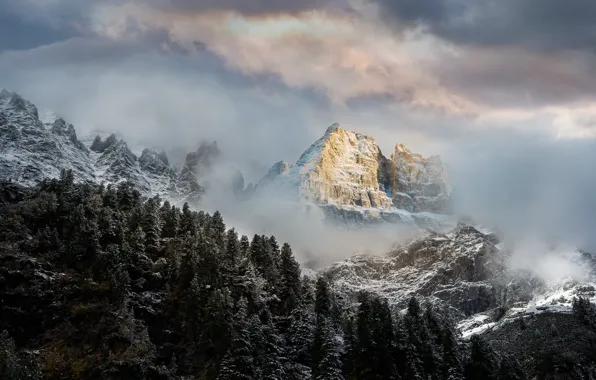 Winter, forest, snow, mountains, the slopes