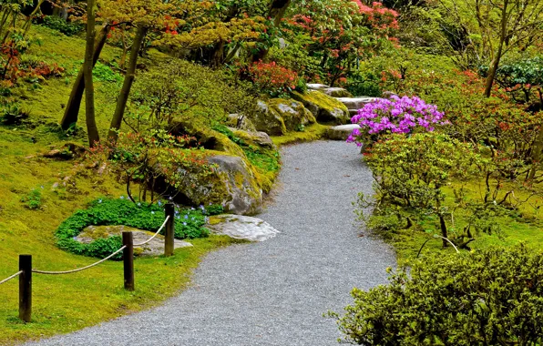 Greens, trees, flowers, stones, moss, garden, track, Seattle