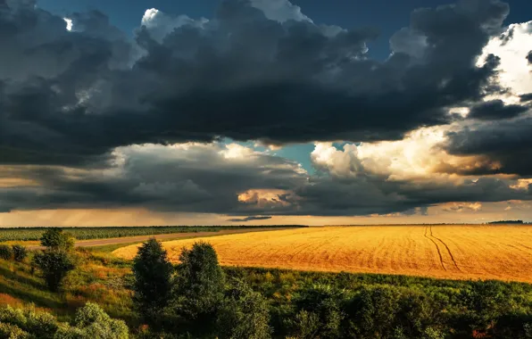 Picture landscape, clouds, nature, field