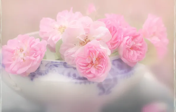 Roses, blur, bowl