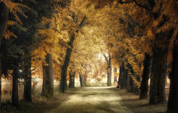 Autumn, the city, Park