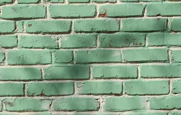 Wall, color, bricks, texture