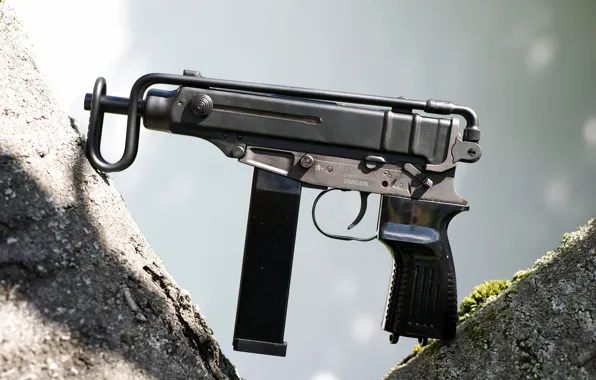 Trees, Scorpio, the gun, (VZ61)