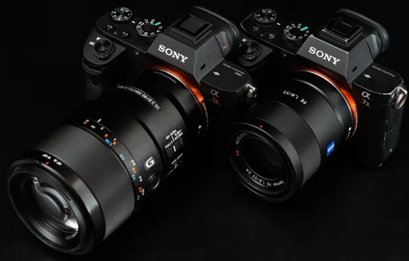 Picture macro, pair, lens, Sony, cameras