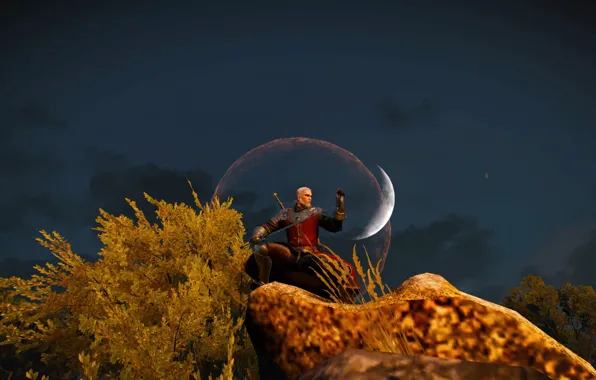The Witcher, The Witcher, Geralt, The Witcher 3 Wild Hunt