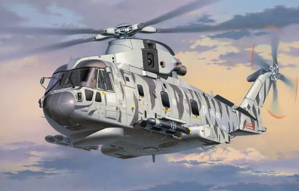 With, AW101, Merlin, Anti-submarine helicopter, European Helicopter Industries, The Royal Navy, EH101, Sting Ray torpedo