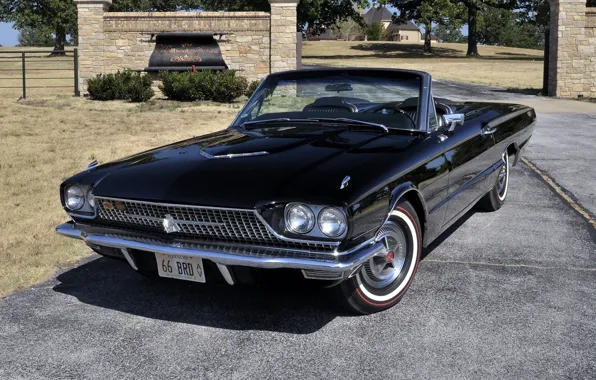 Picture background, black, Ford, Ford, convertible, classic, the front, 1966