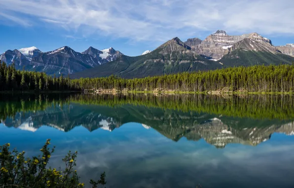 Forest, mountains, lake, reflection, Canada, Albert, Banff National Park, Alberta