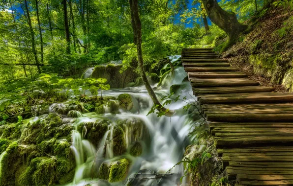 Picture greens, grass, the sun, trees, stream, waterfall, moss, the bushes