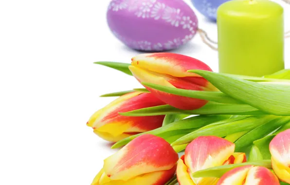 Flowers, candle, spring, Easter, tulips, Easter, Tulips, Candles