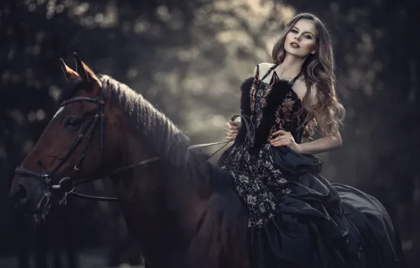 Picture look, girl, horse, portrait, dress, bokeh, Alina Moore, Valentina Chizhova
