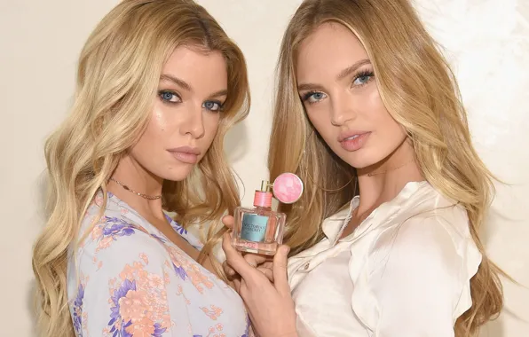 Look, girl, pose, model, perfume, makeup, two, photoshoot