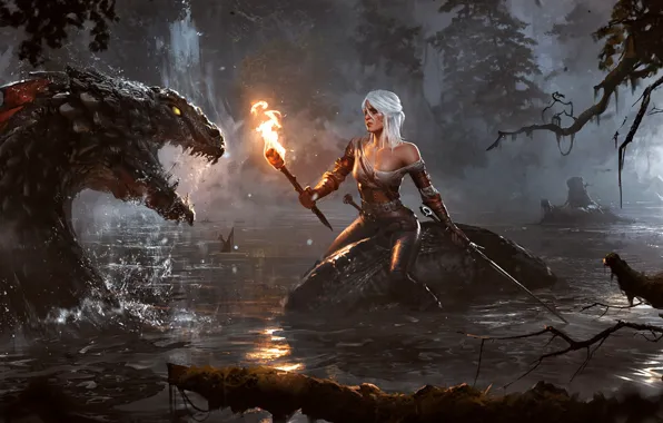 Picture water, night, lake, woman, sword, torch, monster, witcher