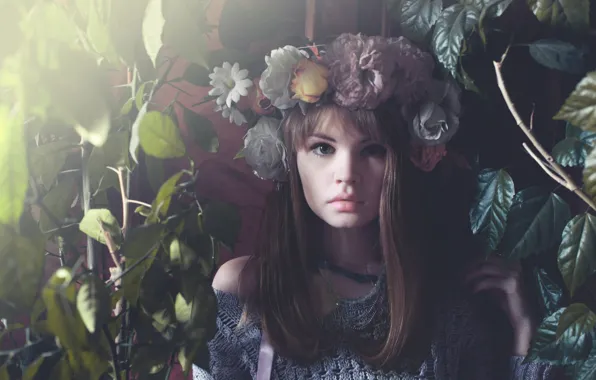 Picture look, leaves, girl, flowers, face, sweetheart, model, hair