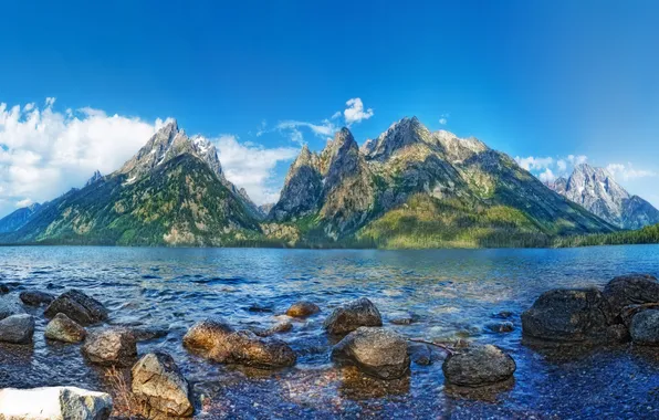 Picture forest, mountains, lake, stones, shore, USA