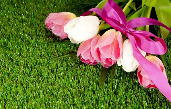Grass, lawn, bouquet, tape, tulips, bow