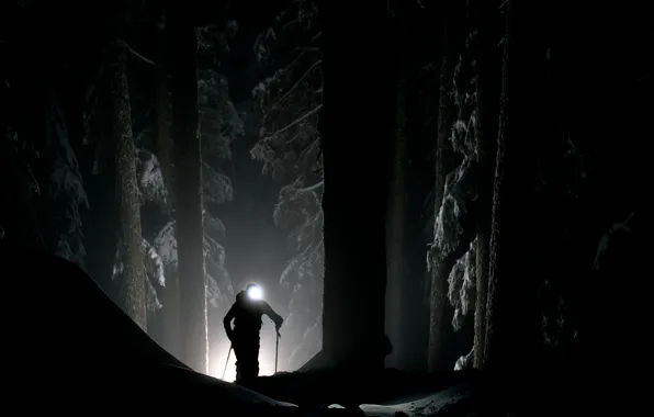 Winter, forest, light, darkness, people, mystic, spotlight