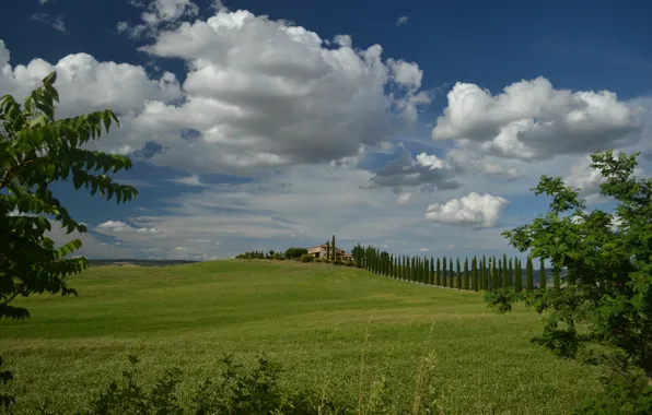 Picture Clouds, Italy, Field, Clouds, Italy, Tuscany, Italia, Toscana