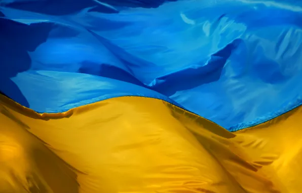 Blue, yellow, flag, Ukraine, ukraine, Ukraine