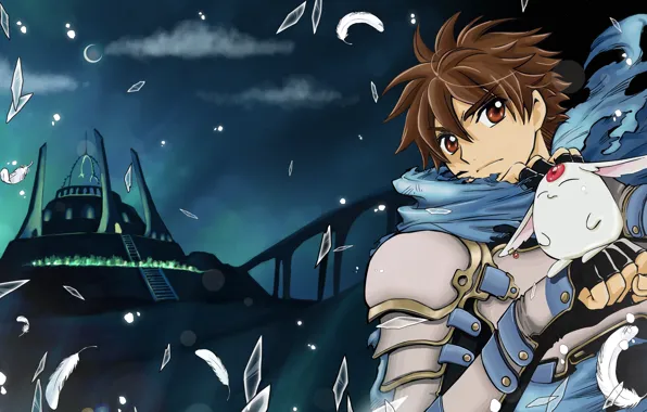 Anime, art, guy, animal, Tsubasa Reservoir Chronicles