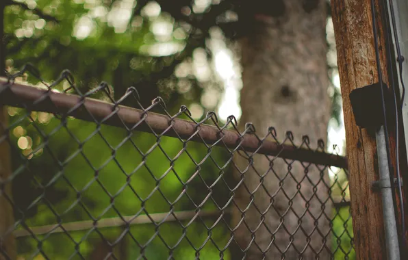 Picture mesh, the fence, fence
