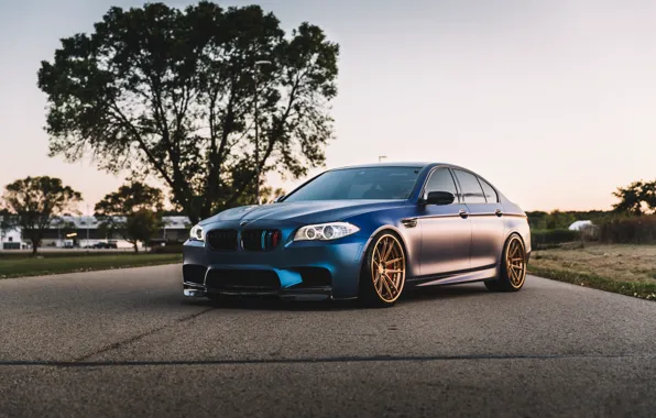 Picture bmw, blue, F10, M5