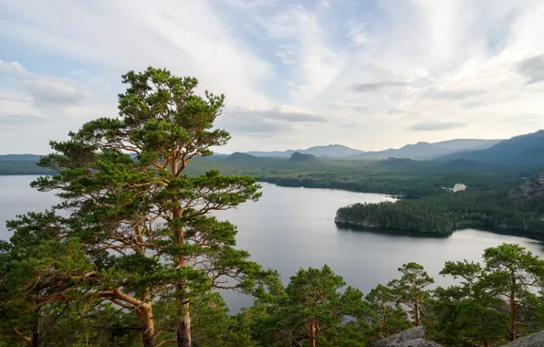 Picture trees, lake, pine, Kazakhstan, Borovoe lake