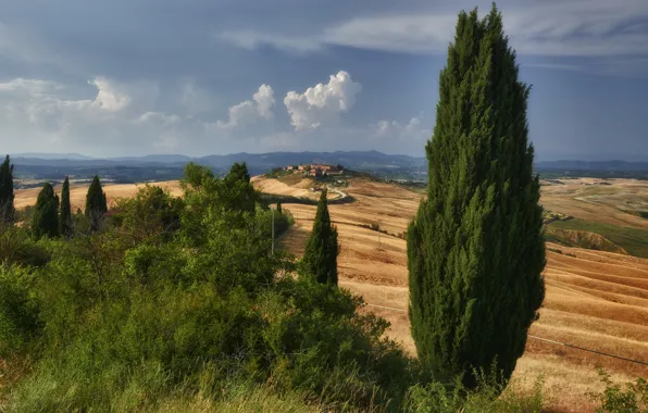 Road, hills, home, Italy, Tuscany, cypress
