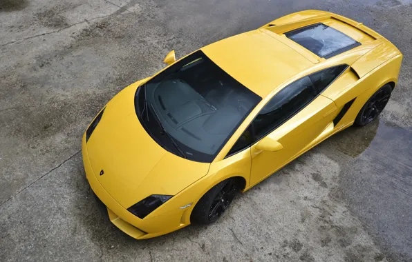 Yellow, Lamborghini, Gallardo, Yellow, Lamborghini, LP560-4